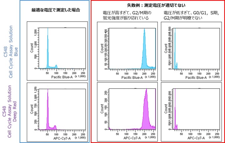 細胞周期測定試薬 Cell Cycle Assay Solution Blue 同仁化学研究所