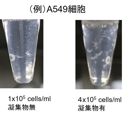 細胞周期測定試薬 Cell Cycle Assay Solution Blue 同仁化学研究所