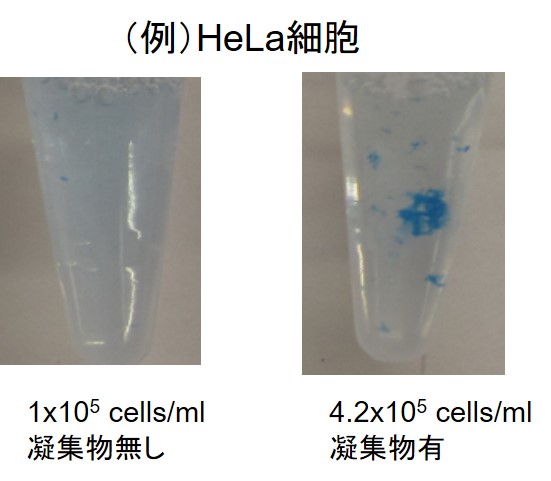 細胞周期測定試薬 Cell Cycle Assay Solution Deep Red 同仁化学研究所