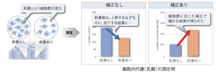 細胞数ノーマライゼーションキット Cell Count Normalization Kit 同仁化学研究所