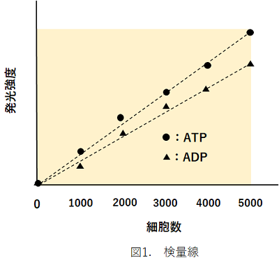 ADP/ATP比測定キット ADP/ATP Ratio Assay Kit-Luminescence 同仁化学研究所