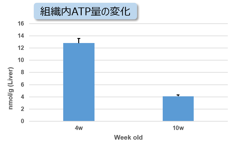 ATP測定キット ATP Assay Kit-Luminescence 同仁化学研究所