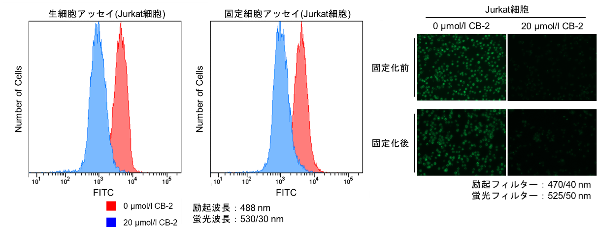 脂肪酸取り込み検出キット Fatty Acid Uptake Assay Kit 同仁化学研究所