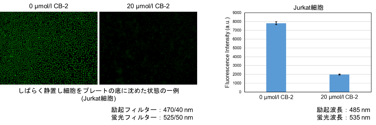 脂肪酸取り込み検出キット Fatty Acid Uptake Assay Kit 同仁化学研究所