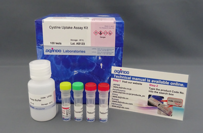 シスチン取り込み検出キット Cystine Uptake Assay Kit 同仁化学研究所