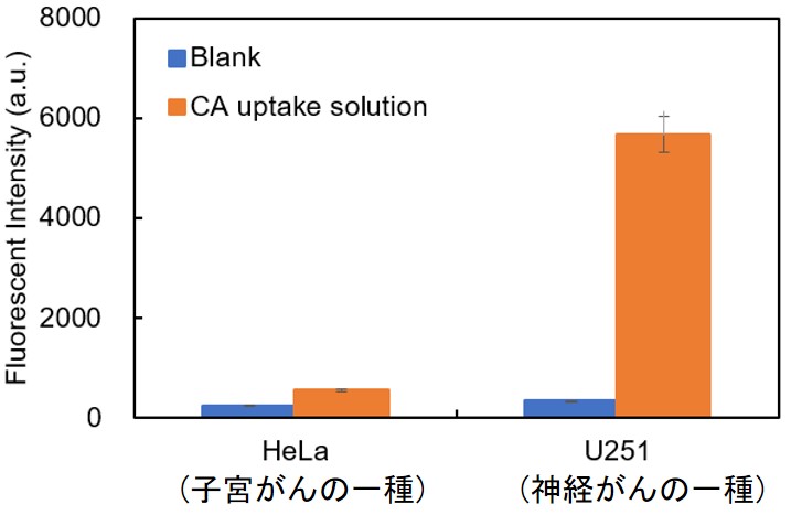 シスチン取り込み検出キット Cystine Uptake Assay Kit 同仁化学研究所