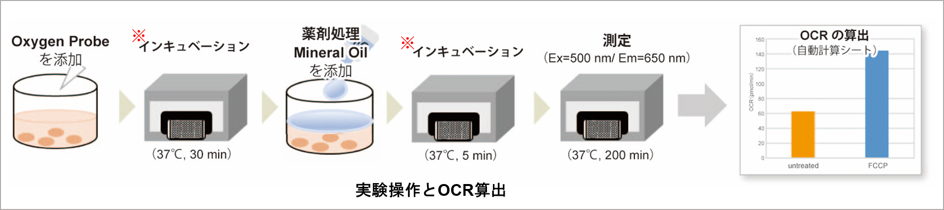 酸素消費速度プレートアッセイキット Extracellular OCR Plate Assay Kit 同仁化学研究所