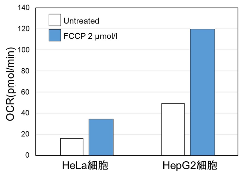 酸素消費速度プレートアッセイキット Extracellular OCR Plate Assay Kit 同仁化学研究所