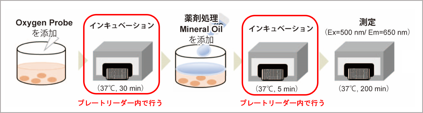 酸素消費速度プレートアッセイキット Extracellular OCR Plate Assay Kit 同仁化学研究所