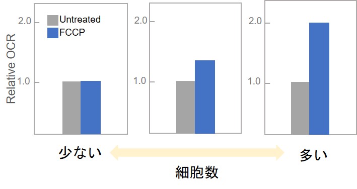 酸素消費速度プレートアッセイキット Extracellular OCR Plate Assay Kit 同仁化学研究所