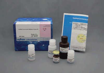 細胞増殖/細胞毒性アッセイキット Viability/Cytotoxicity Multiplex Assay Kit 同仁化学研究所