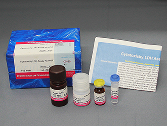 細胞増殖/細胞毒性アッセイキット Viability/Cytotoxicity Multiplex Assay Kit 同仁化学研究所