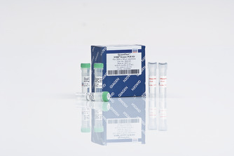 qiagen QuantiTect SYBR Green PCR Kit（1000*50ul）204145