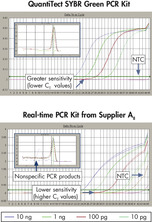 qiagen QuantiTect SYBR Green PCR Kit（1000*50ul）204145