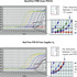 qiagen QuantiTect SYBR Green PCR Kit（1000*50ul）204145